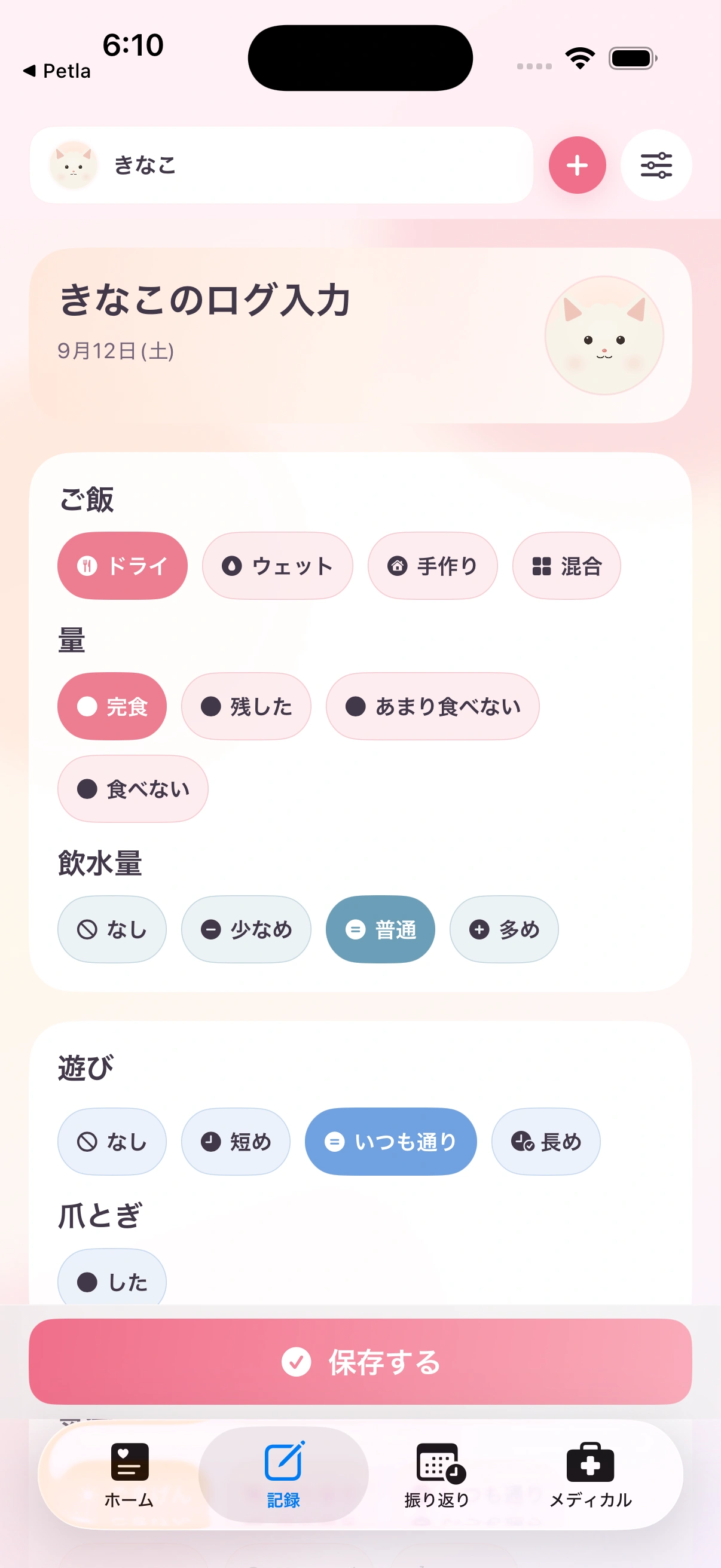 Petlaの実際の記録画面。ごはん、気分、運動など今日の様子を記録できます。